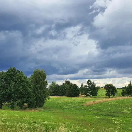 Prázdninový dům Dadaj Park Tiny